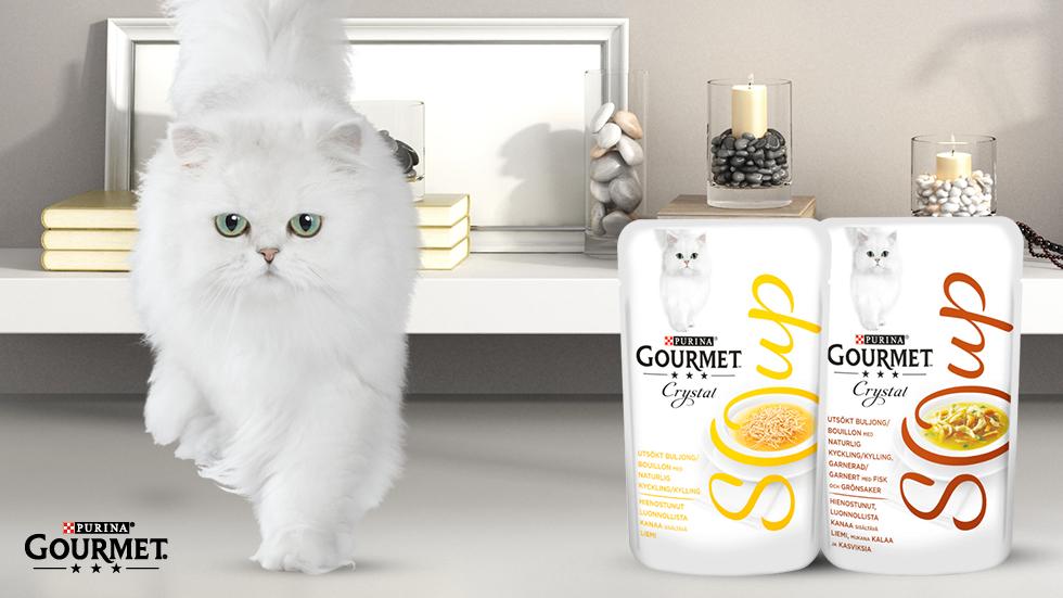 Purina Gourmet Soup