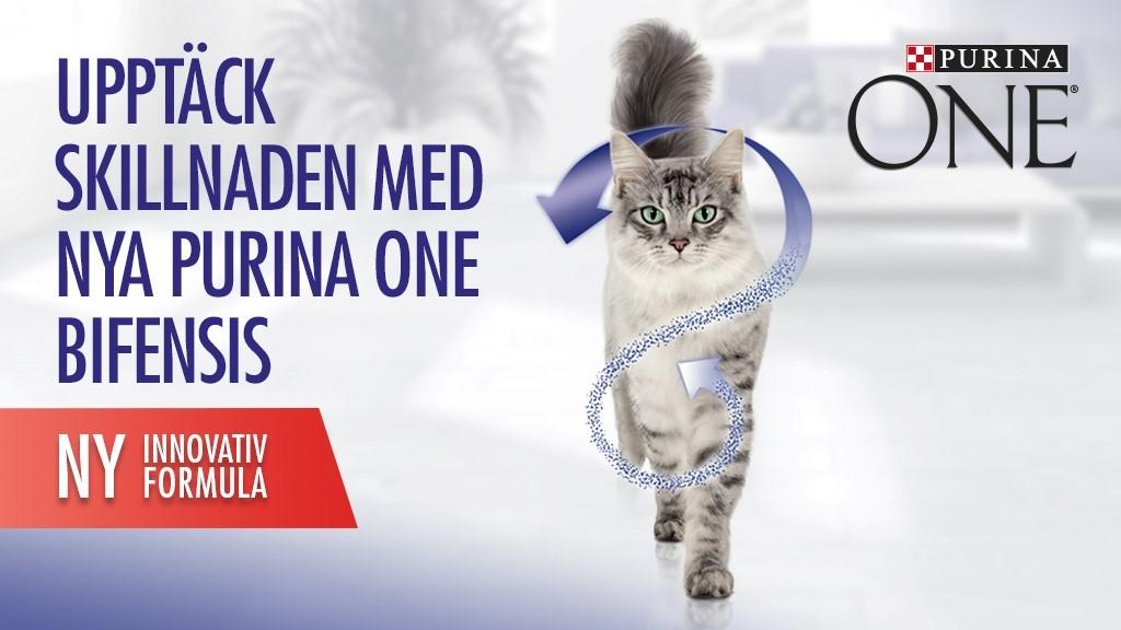 Purina ONE BIFENSIS